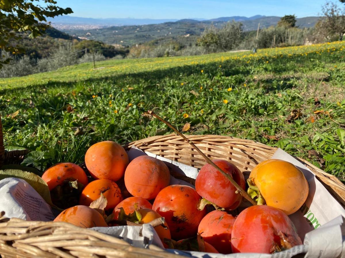 Florence Villa Violetta Bagno a Ripoli Εξωτερικό φωτογραφία