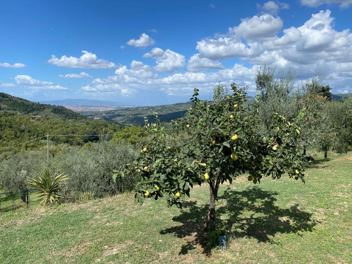 Florence Villa Violetta Bagno a Ripoli Εξωτερικό φωτογραφία